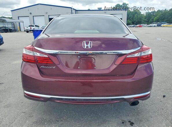 1HGCR2F37HA003503 2017 HONDA ACCORD Red Widok z tyłu