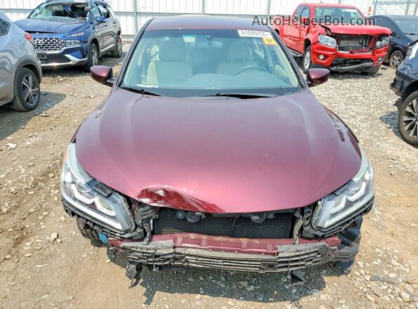 1HGCR2F38GA008059 2016 HONDA ACCORD Burgundy Vista frontal