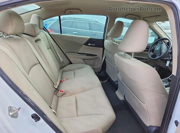 1HGCR2F38GA058959 2016 HONDA ACCORD Белый Вид задних сидений