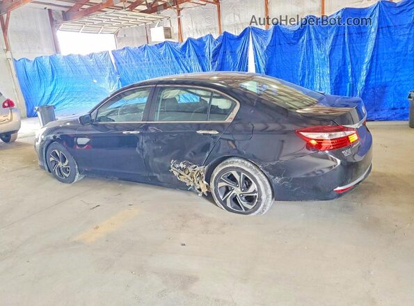 1HGCR2F38HA071535 2017 HONDA ACCORD Черный Задняя левая четверть