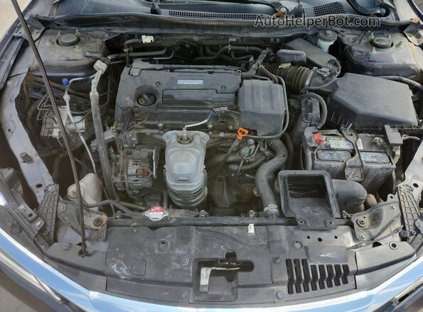 1HGCR2F39HA216467 2017 HONDA ACCORD Серый Вид задней части салона