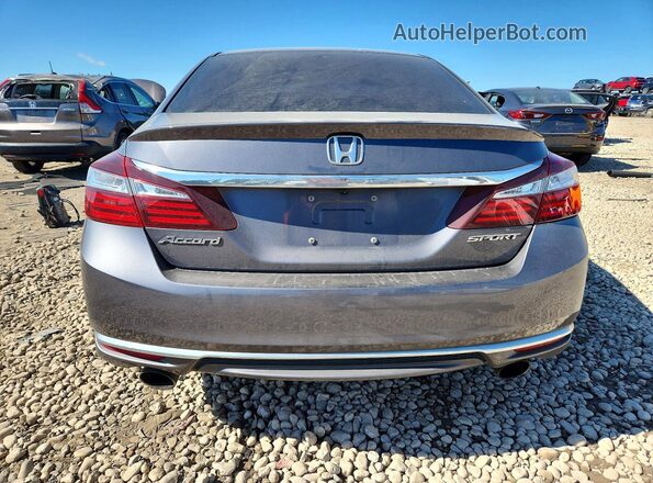 1HGCR2F50HA159450 2017 HONDA ACCORD Charcoal Widok z tyłu