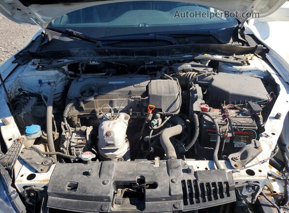1HGCR2F52HA801201 2017 HONDA ACCORD White Սալոնի հետևի տեսք