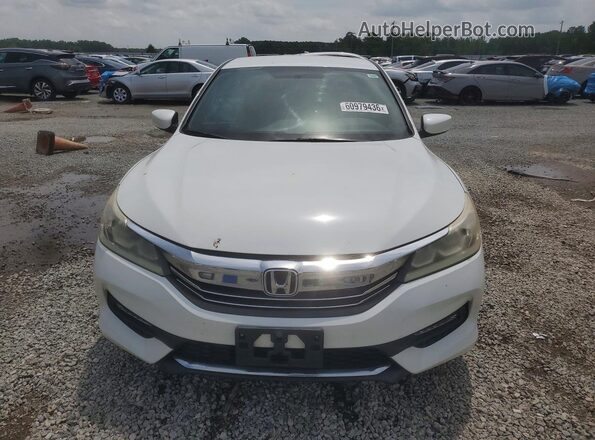 1HGCR2F53GA083172 2016 HONDA ACCORD Белый Вид спереди
