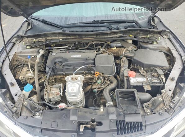 1HGCR2F53HA262880 2017 HONDA ACCORD Gray Սալոնի հետևի տեսք