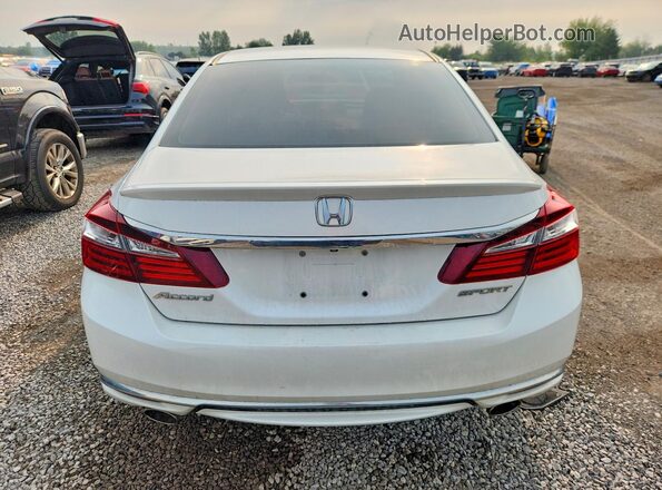 1HGCR2F53HA811705 2017 HONDA ACCORD White Widok z tyłu
