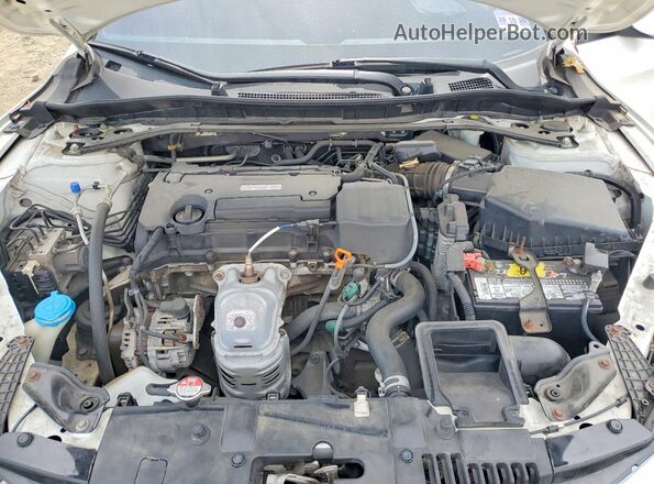 1HGCR2F56HA126176 2017 HONDA ACCORD White Widok wnętrza z tyłu