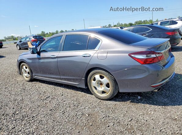1HGCR2F56HA801802 2017 HONDA ACCORD Gray Tył lewy