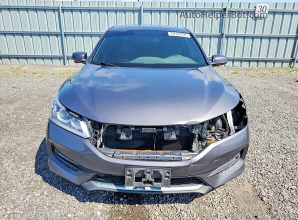 1HGCR2F56HA801802 2017 HONDA ACCORD Gray Widok z przodu