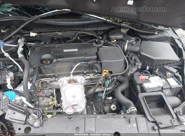 1HGCR2F57HA171398 2017 HONDA ACCORD Черный Вид сзади