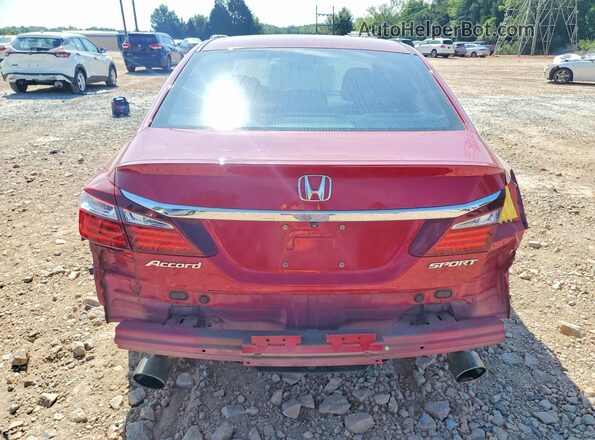 1HGCR2F61HA065425 2017 HONDA ACCORD Красный Вид сзади