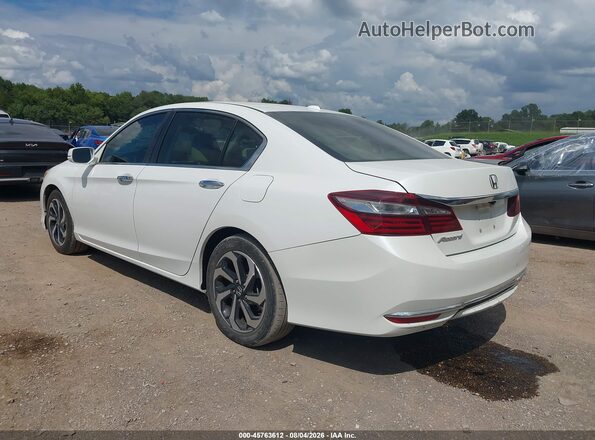 1HGCR2F72HA006232 2017 HONDA ACCORD White Задня ліва чверть