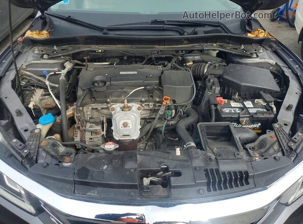 1HGCR2F80GA177486 2016 HONDA ACCORD Серый Вид задней части салона