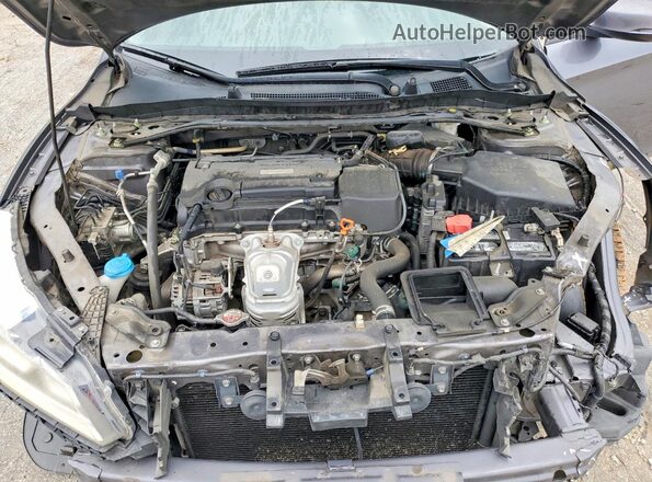 1HGCR2F84GA236457 2016 HONDA ACCORD Серый Вид задней части салона