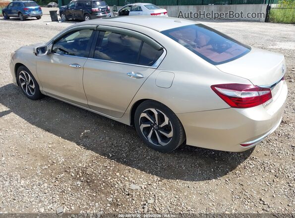1HGCR2F89HA300414 2017 HONDA ACCORD Brown Tył lewy