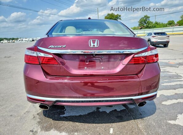 1HGCR3F80HA013680 2017 HONDA ACCORD Burgundy Вид ззаду