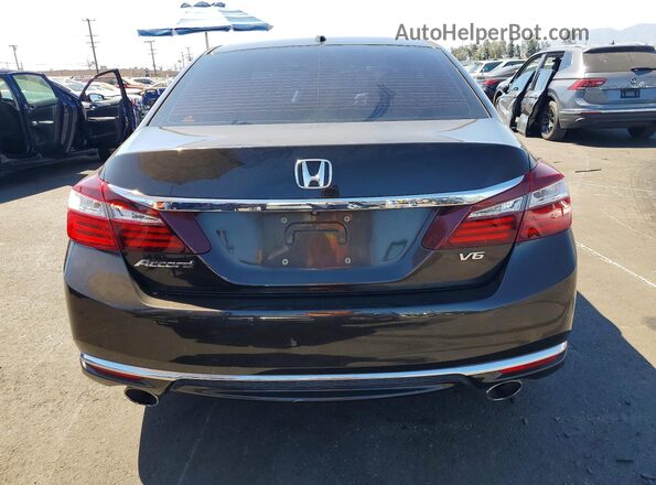 1HGCR3F80HA030396 2017 HONDA ACCORD Brown Вид ззаду