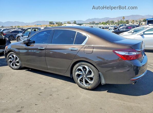 1HGCR3F80HA030396 2017 HONDA ACCORD Brown Задня ліва чверть