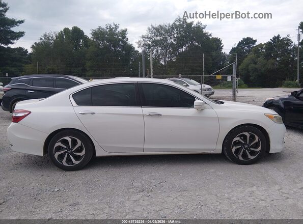 1HGCR3F83HA015973 2017 HONDA ACCORD White Widok wnętrza z tyłu