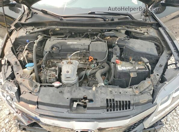1HGCT1B83HA007805 2017 HONDA ACCORD Gray Vista interior trasera