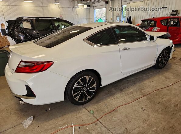 1HGCT2B87GA000196 2016 HONDA ACCORD White Tył prawy