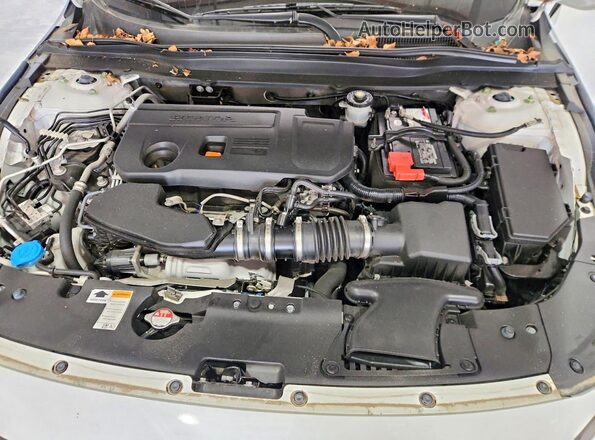 1HGCV2F30LA030630 2020 HONDA ACCORD White უკანა სალონის ხედი
