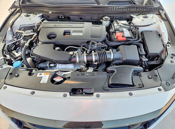 1HGCV2F38LA018824 2020 HONDA ACCORD White Սալոնի հետևի տեսք