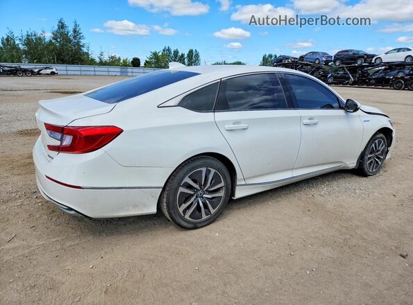 1HGCV3F72KA800818 2019 HONDA ACCORD White Հետևի աջ