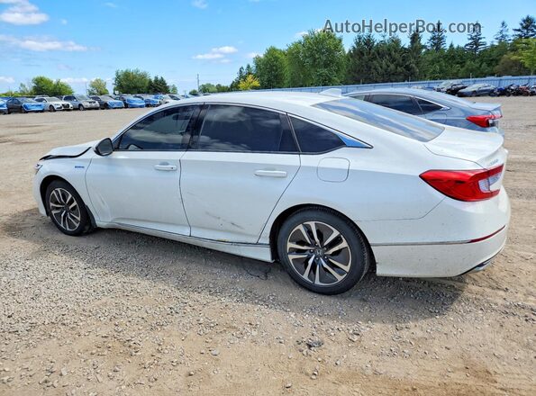 1HGCV3F72KA800818 2019 HONDA ACCORD White Հետևի ձախ