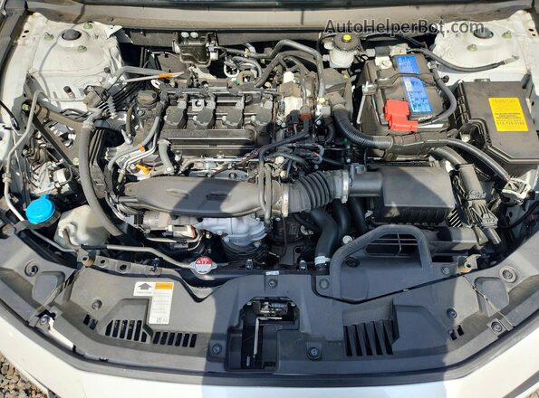 1HGCY1F2XRA089296 2024 HONDA ACCORD White უკანა სალონის ხედი