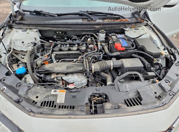1HGCY1F31PA038744 2023 HONDA ACCORD White უკანა სავარძლების ხედი