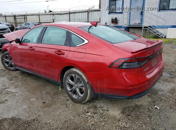 1HGCY1F31RA025009 2024 HONDA ACCORD Red Trasero izquierdo