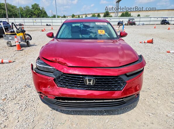 1HGCY1F37RA006013 2024 HONDA ACCORD Red Front view