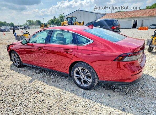 1HGCY1F37RA006013 2024 HONDA ACCORD Red Rear left
