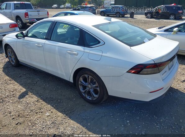 1HGCY1F38RA039781 2024 HONDA ACCORD White Tył lewy