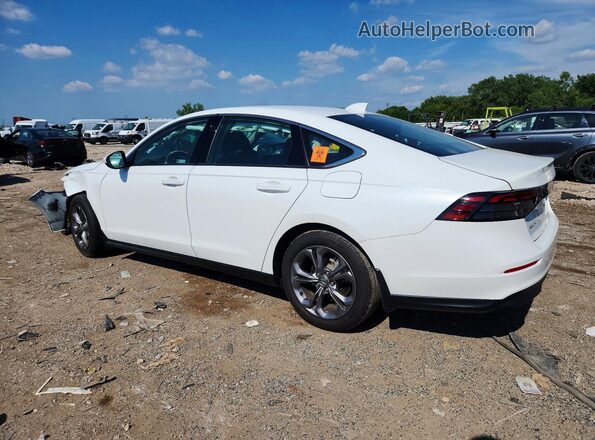 1HGCY1F38RA042776 2024 HONDA ACCORD White უკანა მარცხენა