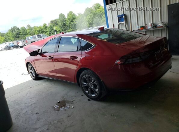 1HGCY1F39RA069257 2024 HONDA ACCORD Burgundy Հետևի ձախ