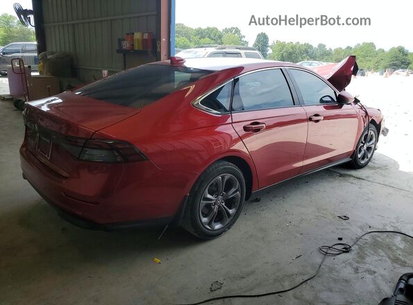 1HGCY1F39RA069257 2024 HONDA ACCORD Burgundy Հետևի աջ