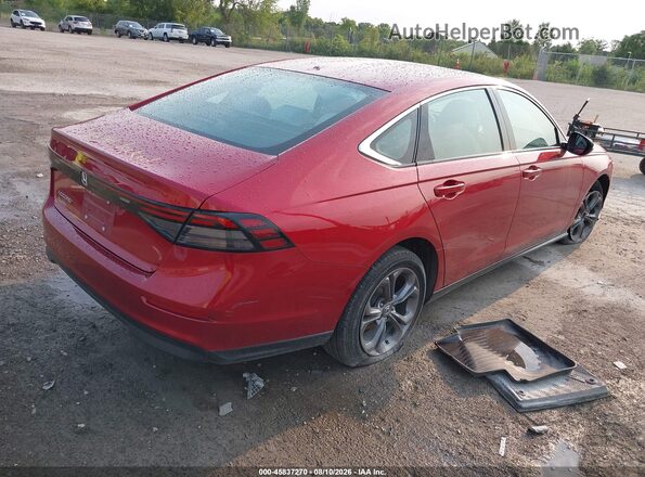 1HGCY1F3XRA005907 2024 HONDA ACCORD Red Հետևի աջ