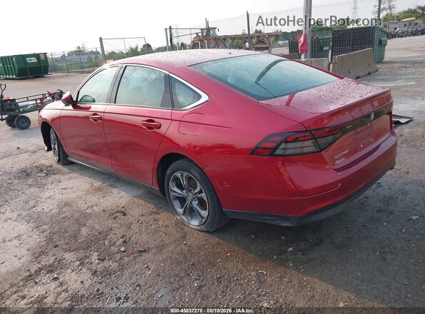 1HGCY1F3XRA005907 2024 HONDA ACCORD Red Հետևի ձախ