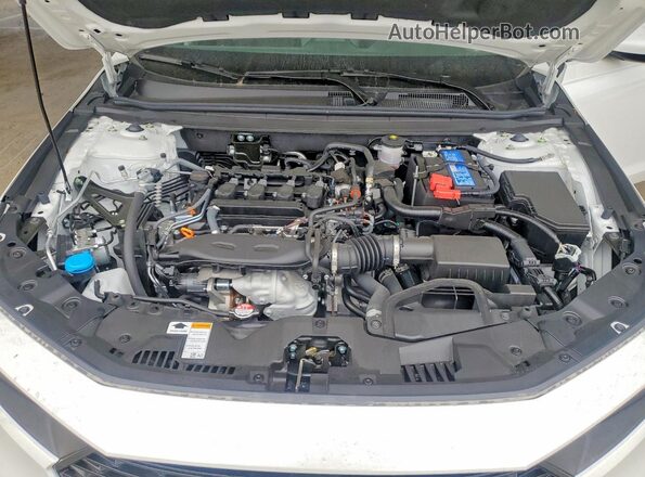 1HGCY1F3XRA088805 2024 HONDA ACCORD White Սալոնի հետևի տեսք
