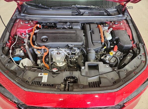 1HGCY2F50PA067675 2023 HONDA ACCORD Red უკანა სალონის ხედი
