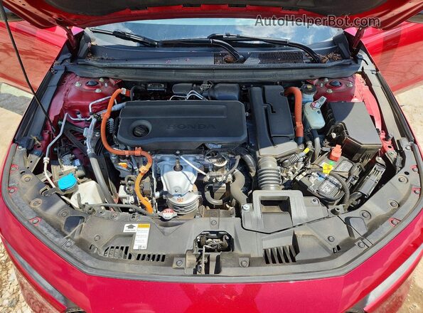 1HGCY2F53RA019929 2024 HONDA ACCORD Red Սալոնի հետևի տեսք