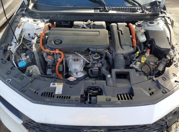 1HGCY2F56RA008116 2024 HONDA ACCORD White Widok wnętrza z tyłu