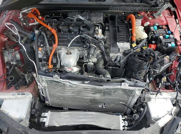 1HGCY2F59RA092903 2024 HONDA ACCORD Red Вид задньої частини салону