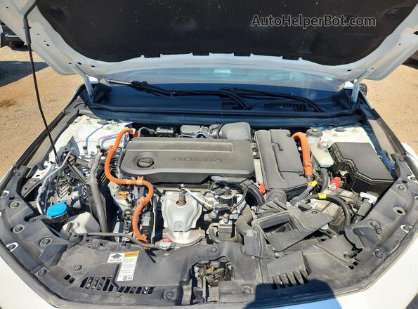 1HGCY2F80PA024982 2023 HONDA ACCORD White უკანა სალონის ხედი
