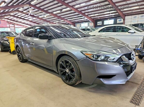 1N4AA6AP0GC904851 2016 NISSAN MAXIMA Gray Передня права чверть