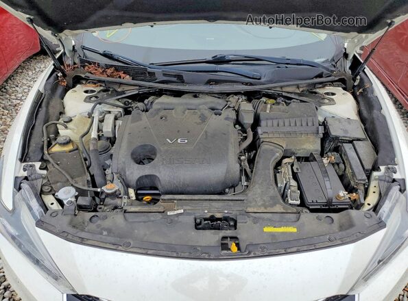1N4AA6AP0HC444009 2017 NISSAN MAXIMA White Սալոնի հետևի տեսք