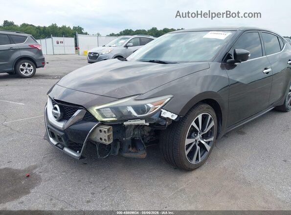 1N4AA6AP1GC445779 2016 NISSAN MAXIMA Gray Front view