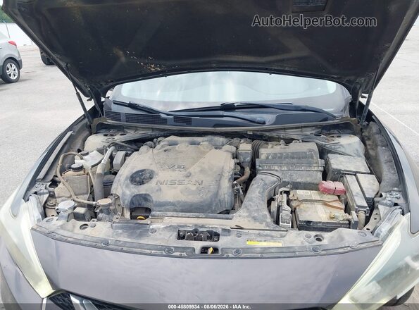 1N4AA6AP1GC445779 2016 NISSAN MAXIMA Gray Rear view
